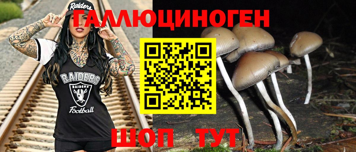 Галлюциногенные грибы Psilocybine cubensis Сочи