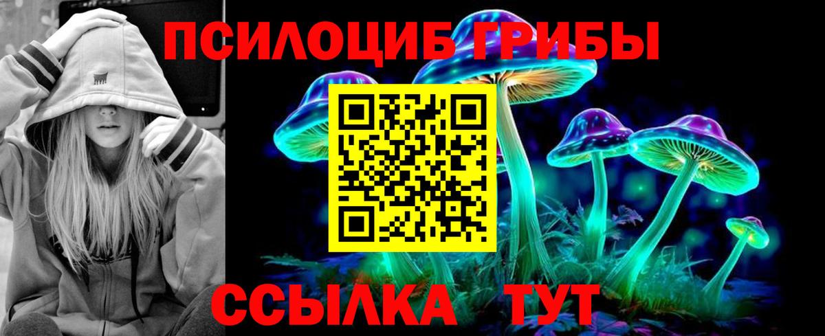 Псилоцибиновые грибы Psilocybe  Вход с VPN  Псилоцибиновые грибы Magic Shrooms  Сочи 